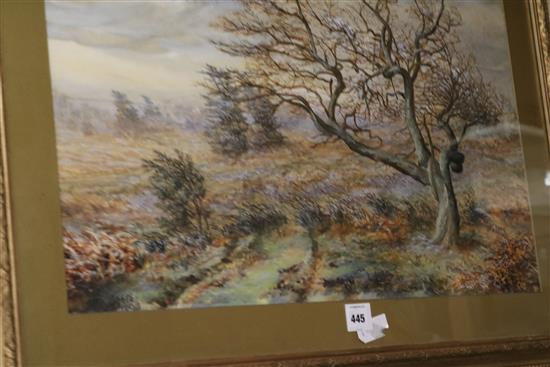 Rodgers, 1890 watercolour study of a tree 50 x 72cm.